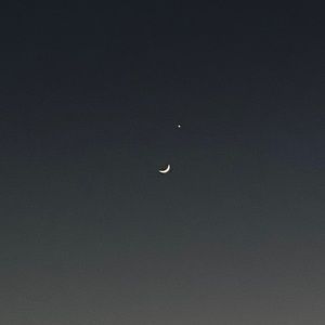 Meet your Posher, Dixie